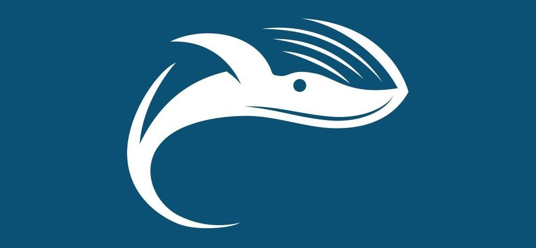 Humpback Whale Coffee München – Specialty Coffee mit Tiefgang