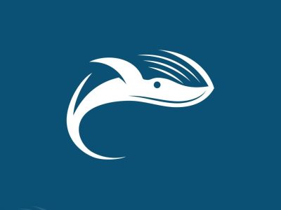 Humpback Whale Coffee München – Specialty Coffee mit Tiefgang